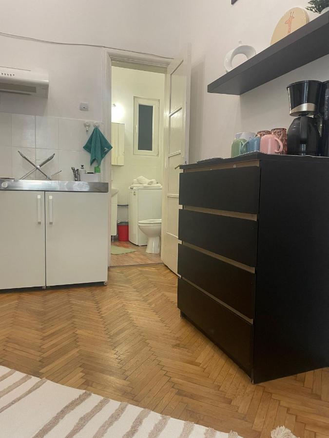 Cozy Studio Near Cismigiu Park Apartment Bucharest Luaran gambar