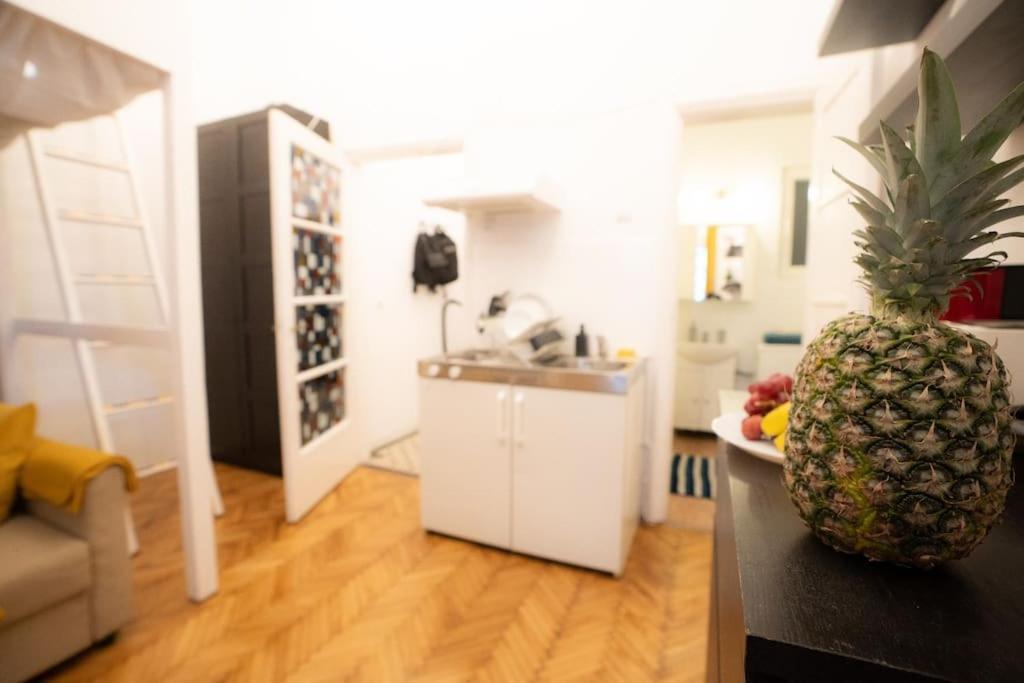 Cozy Studio Near Cismigiu Park Apartment Bucharest Luaran gambar